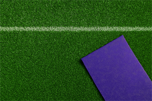 Искусственный спортивный газон