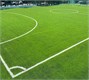 Искусственное газон для занятий футболом