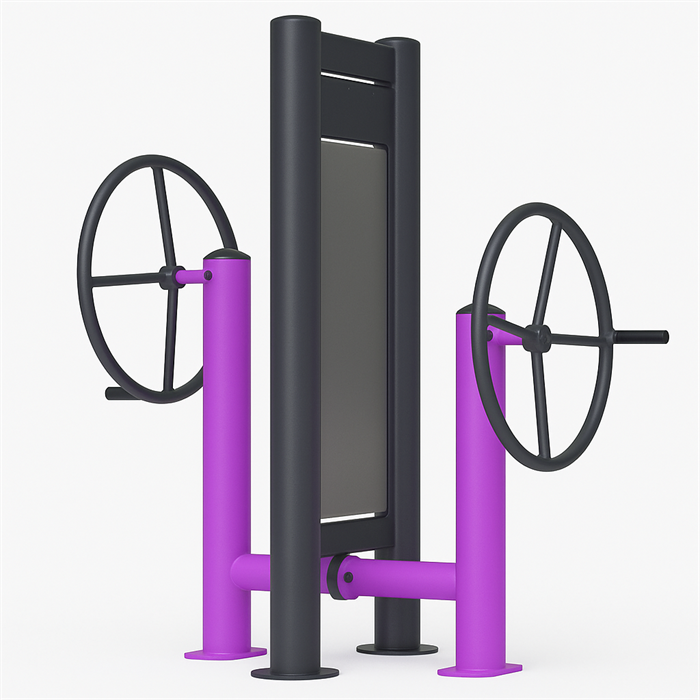 Тренажер уличный колесо двойное TMS-LBT4