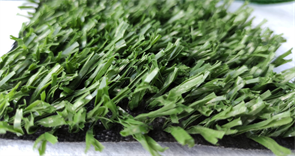 Искусственная трава Domo - Deco Sport 20 TMS-PG-8988