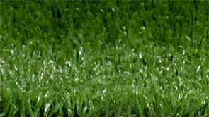 Искусственная трава CCGrass — Multisport 20 8800 TMS-PG-2415