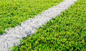 Искусственная трава Premium Grass Разметочная трава TMS-VRT-040