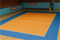 Спортвное покрытие для волейбола TMS-VSL