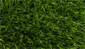 Искусственная трава CCGrass - Sense ECO 40-15 12000 TMS-PG-9148