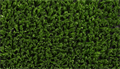 Искусственная трава CCGrass - YEII 20-20 TMS-PG-	6908