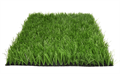 Искусственная трава Premium Grass Football 40 TMS-PG-F40