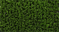 Искусственная трава CCGrass - YEII 20 TMS-PG-3962