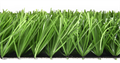 Искусственная трава Premium Grass FIFA Pro 60 TMS-PG-FFP60