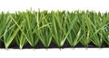Искусственная трава Premium Grass FIFA 50 TMS-PG-FF50
