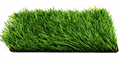 Искусственная трава CCGrass - Sense ECO 60-14 TMS-PG-5298