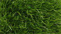 Искусственная трава CCGrass - Sense ECO 60-14 TMS-PG-5298